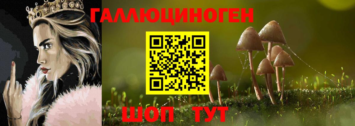 Псилоцибиновые грибы Psilocybine cubensis Заволжье